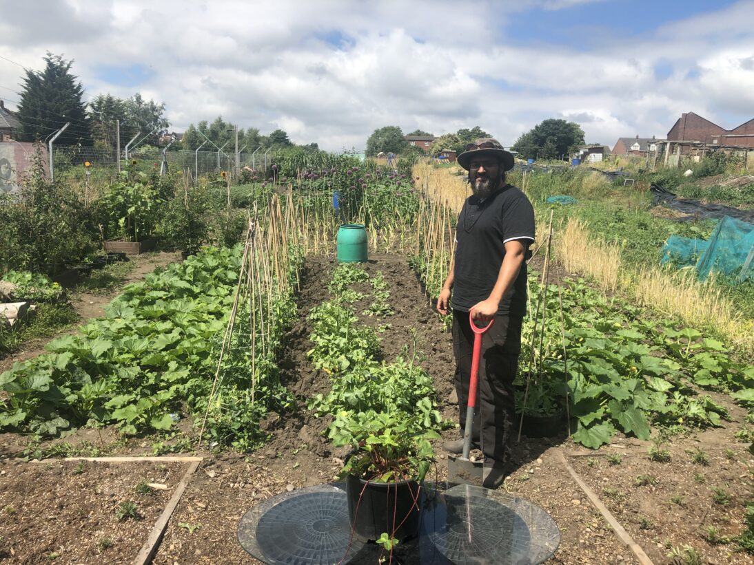In the image we see a man standing proudly in front of three rows of plants in an allotment. The figure wears a hat to shield from the sun and is holding a red spade. In the background we can see lots of tall purple flowers and other plants in the allotment.