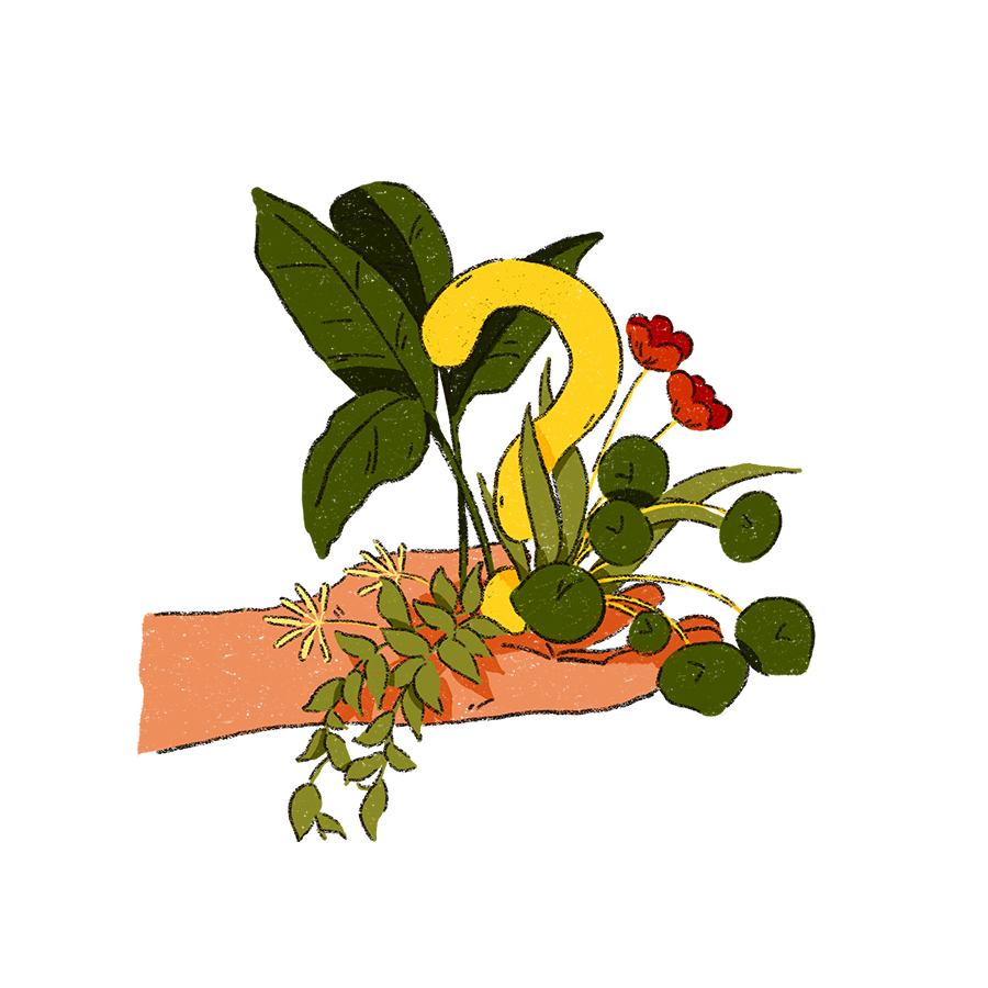 The image shows an open palm holding a collection of plants and a yellow question mark sits in the middle