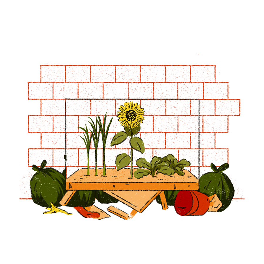 The image shows a brick wall with a collection of plants in front of it. There is a wooden plinth with a collection of plants and a sunflower in the middle.