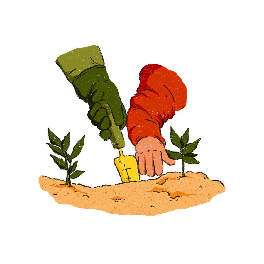 The image shows a patch of soil with two hands tending to the soil. There is one hand holding with a yellow spade and a green gloves.