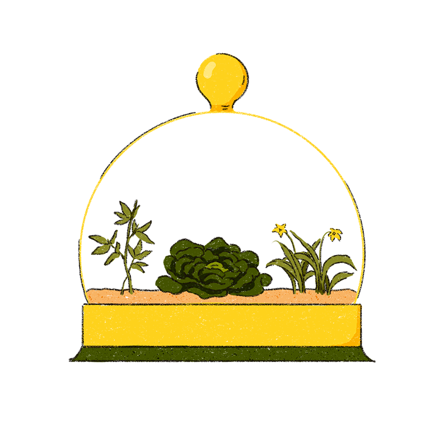 The image shows a yellow glass dome with three small green plants inside.