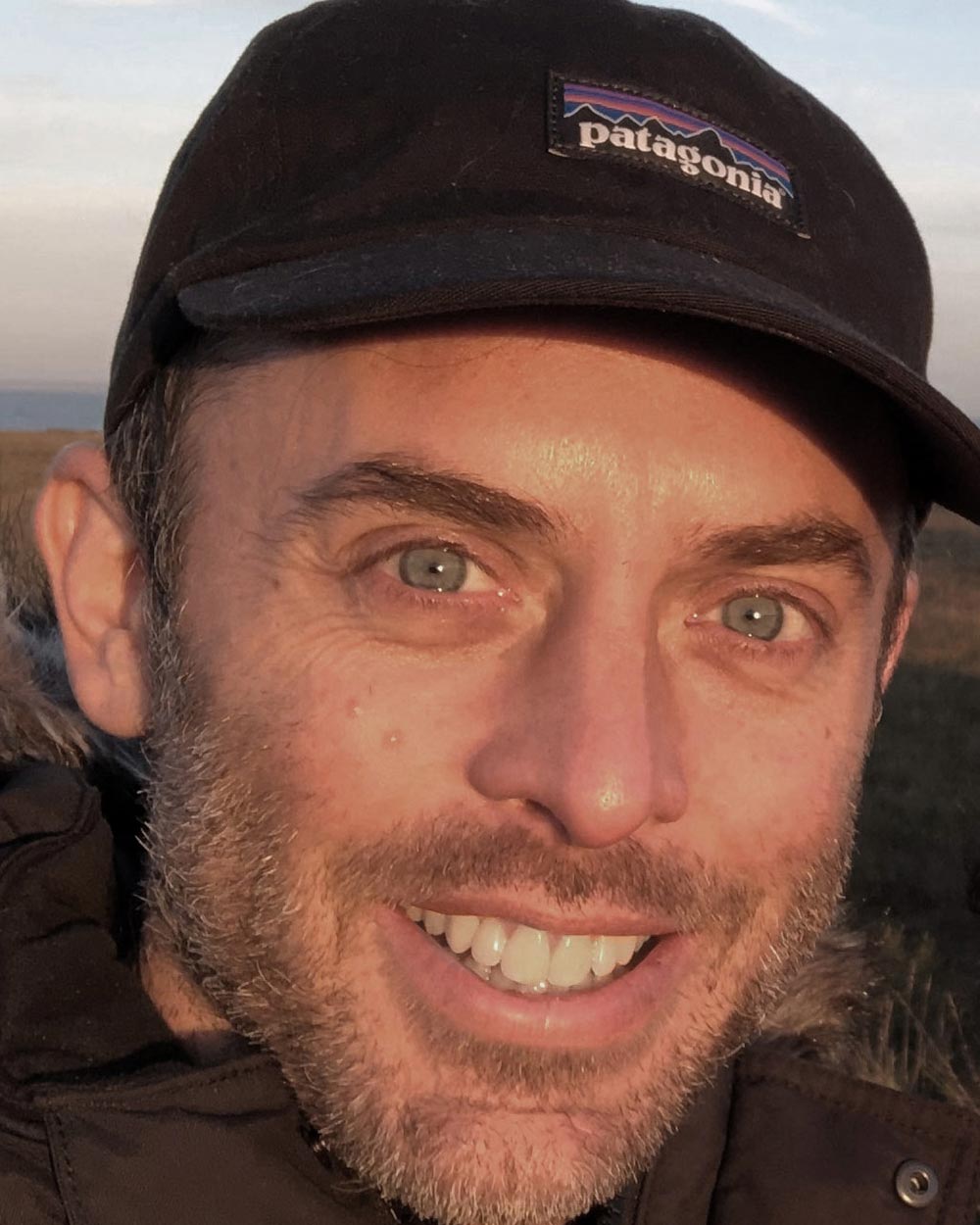 Book jacket: Matt Golding 