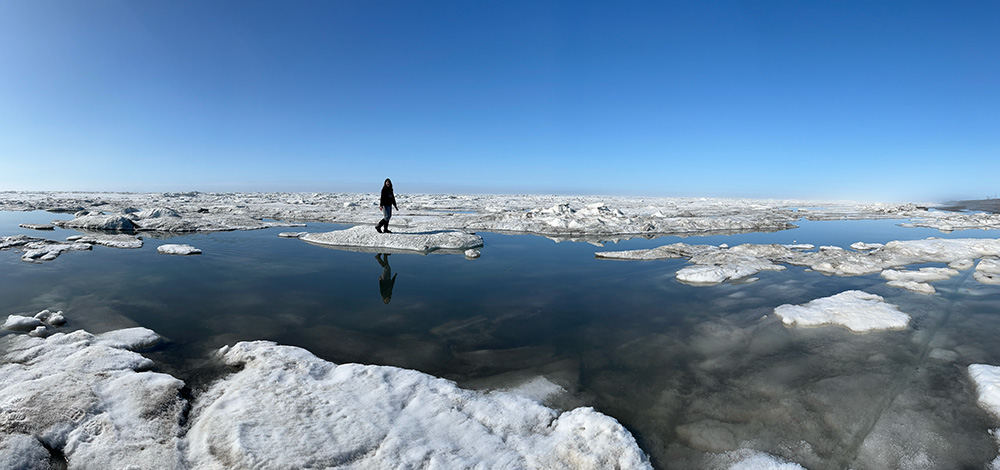 A figure stands on a slab of artic ocean ice, surrounded by more ice and sea.