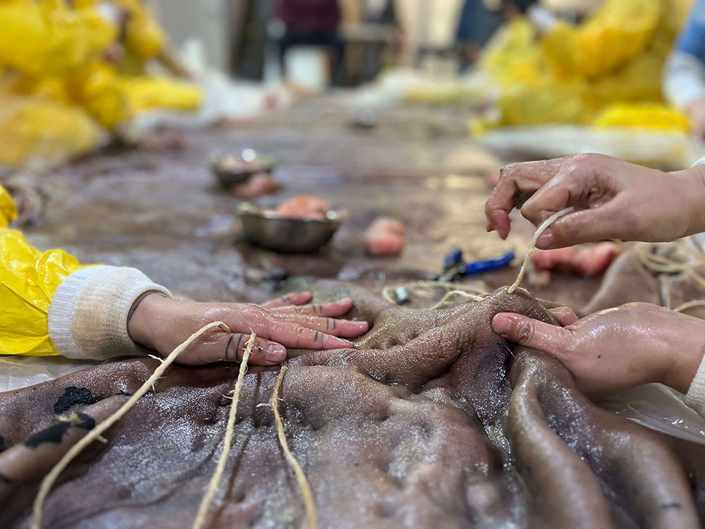 The image is of women in yellow raincoats leaning over a table covered in a boat skin. They are weaving tendons