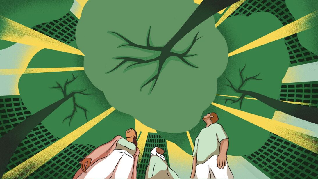 The image shows a tree canopy with buildings and rays of sun poking through. There are three people in the centre of the image looking upwards to the sky