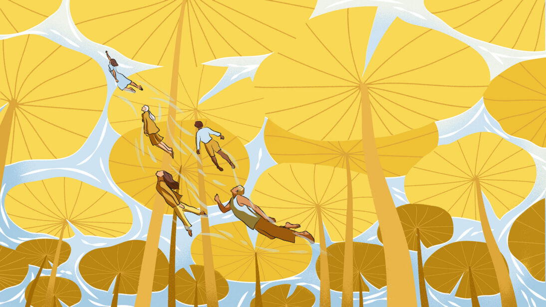 The image shows a group of people swimming in the sea amongst tall yellow lilypads