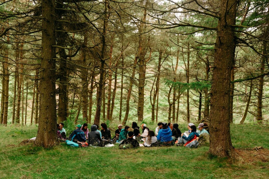 the image shows a group of people sat on the forest floor in discussion. There are tall trees surounding them.