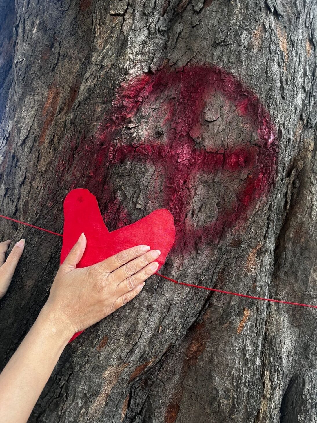 the image shows a heart and thread tied around a tree marked to be felled.