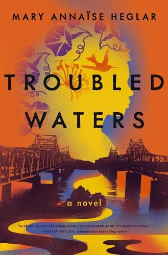 Book jacket: Troubled Waters