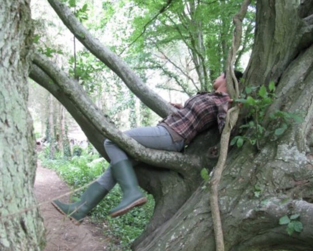 The image shows Suzanne laying in a tree in a forest