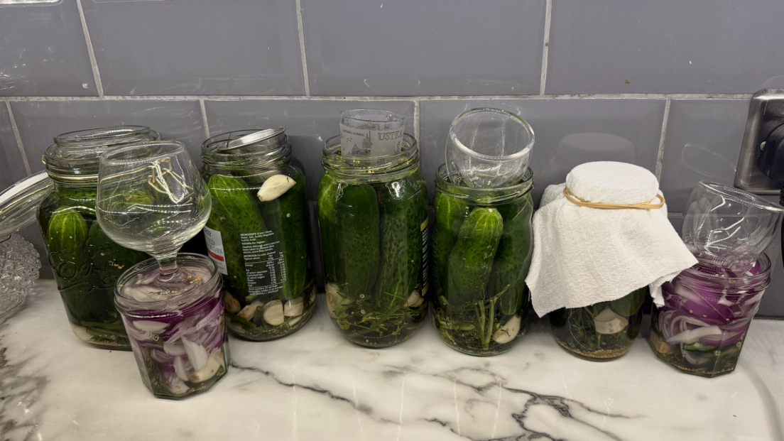 the image shows a row of jars of pickled gherkins on a marble working top