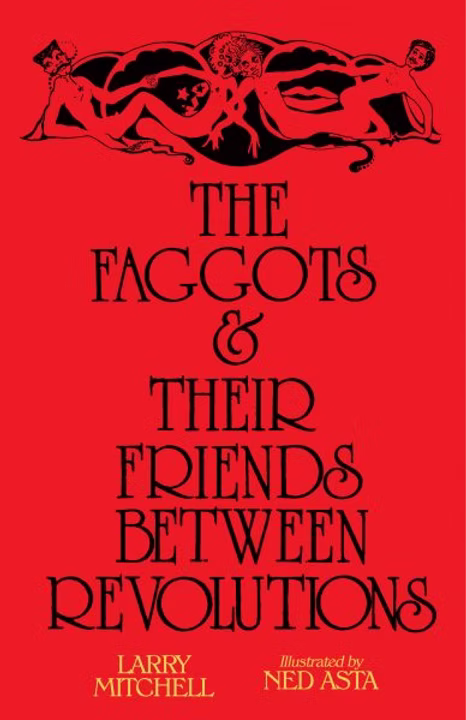 Book jacket: The Faggots & Their Friends Between Revolutions 